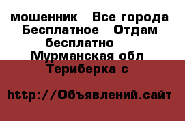 мошенник - Все города Бесплатное » Отдам бесплатно   . Мурманская обл.,Териберка с.